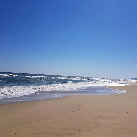 Carolmike Oasis Kamchia Reserve Апартаменты